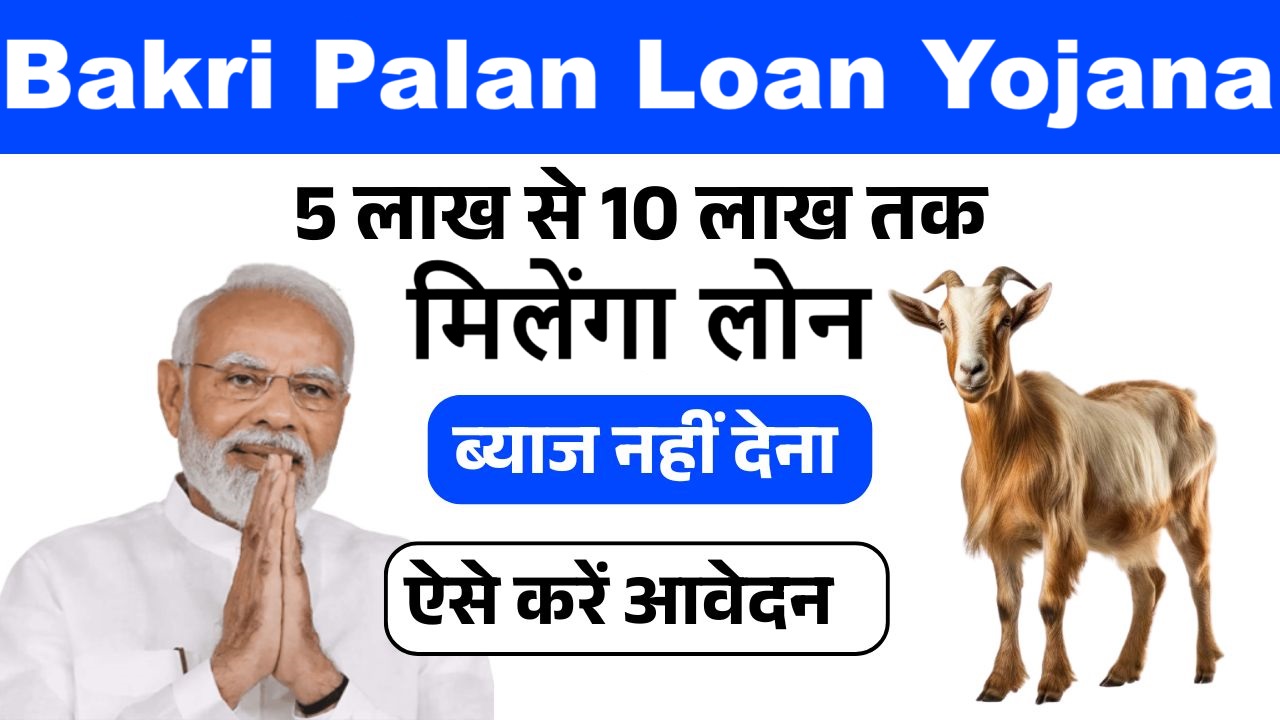 Bakri Palan Loan Yojana: युवाओं के लिए ₹10 लाख तक का लोन, आवेदन शुरू