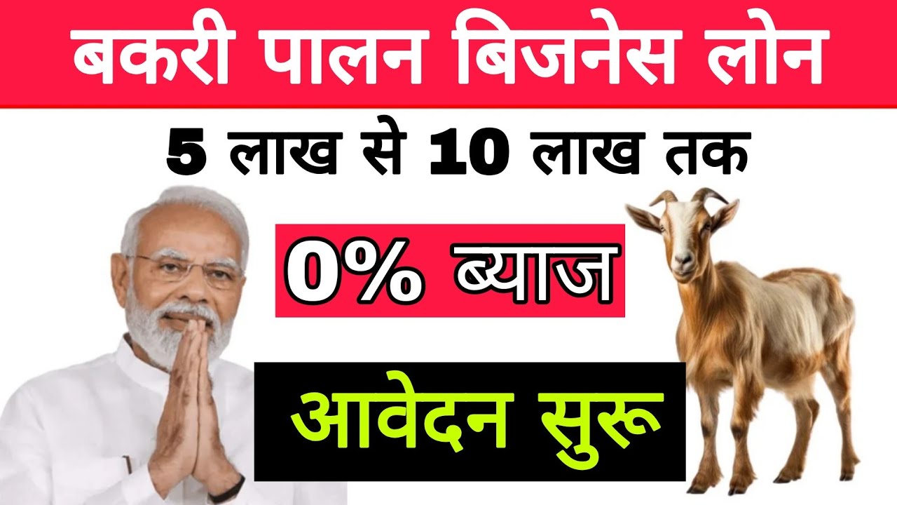 2026 Goat Farming Loan Scheme: शुरू करें अपना सफल व्यवसाय, बकरी पालन बिजनेस के लिए मिल रहा है सरकारी लोन, ऐसे करे आवेदन