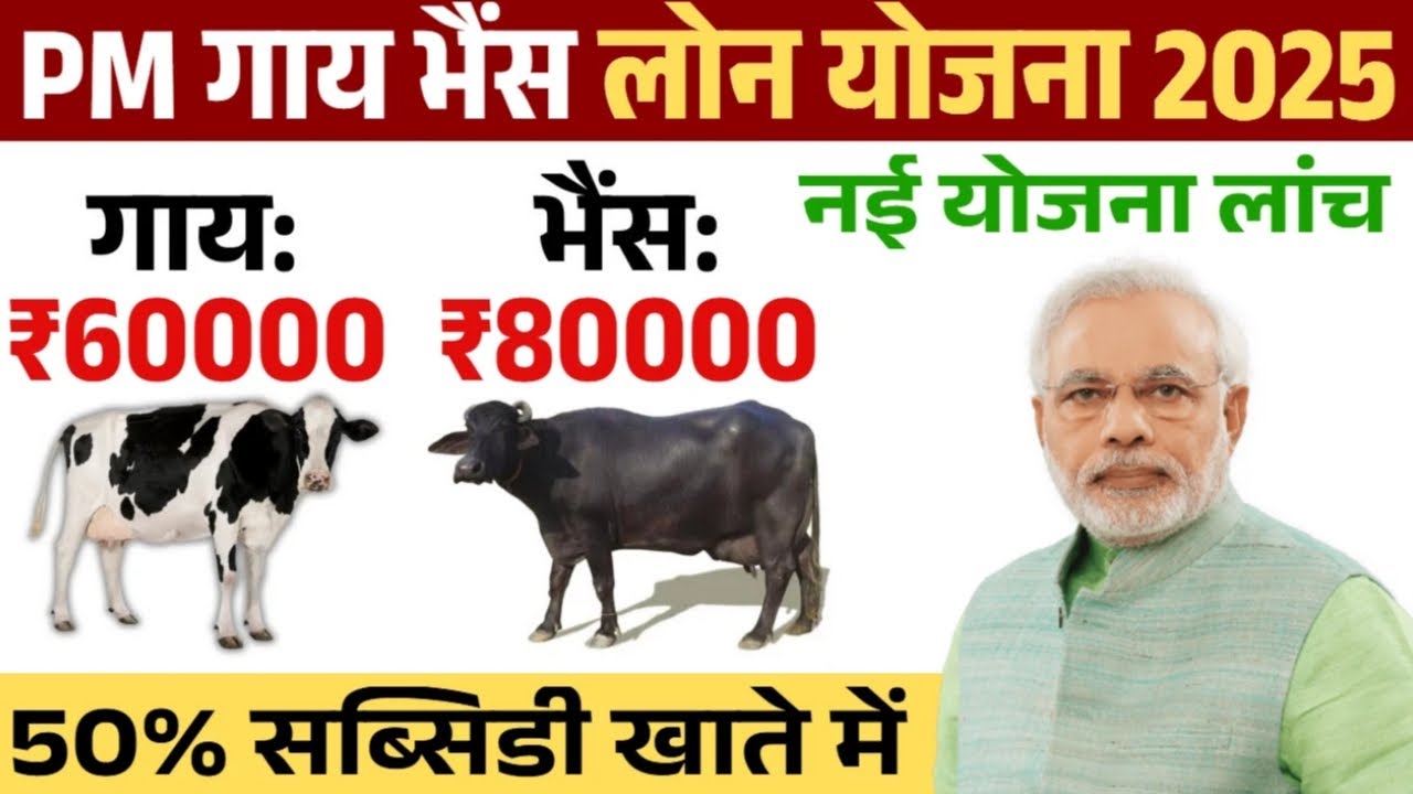 2026 Pashupalan Loan Kaise Le : गाय-भैंस पालन के लिए सरकारी और बैंक ऋण कैसे लें